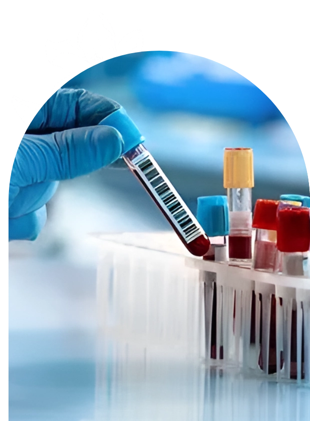 A gloved hand holding a test tube filled with blood.